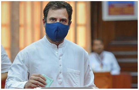 രാഹുല് ഗാന്ധി വോട്ട് ചെയ്യുന്നു/പിടിഐ