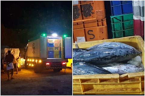 'നല്ല ഭക്ഷണം നാടിന്റെ അവകാശം'; ഭക്ഷ്യസുരക്ഷാ വകുപ്പ് പരിശോധന ശക്തമാക്കി; 60 കിലോ അയല പിടിച്ചെടുത്ത് നശിപ്പിച്ചു