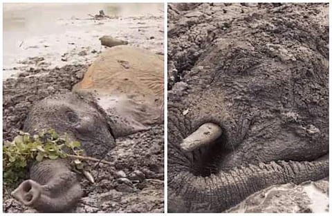 വീഡിയോ സ്ക്രീന്ഷോട്ട്