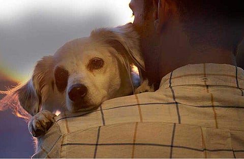 പ്രതീകാത്മക ചിത്രം