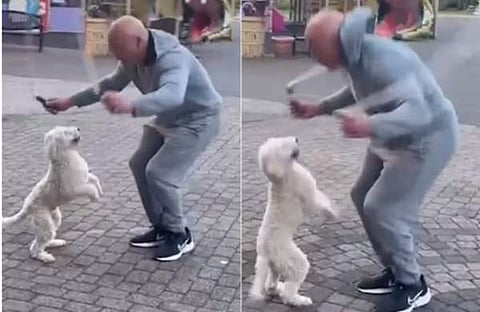 സ്കിപ്പിങ് ചെയ്ത് നായ / ചിത്രം ഇന്റഗ്രാം