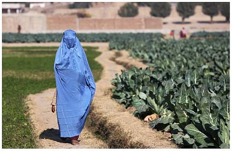 ചിത്രം: എഎഫ്പി