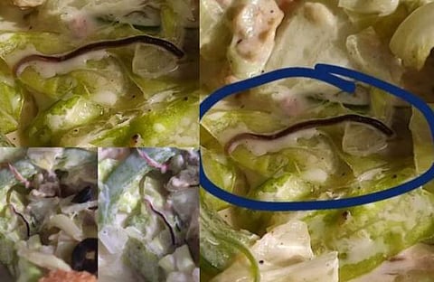 ചിക്കൻ സാലഡിൽ ചത്ത പുഴു/ ചിത്രം: ഇൻസ്റ്റഗ്രാം