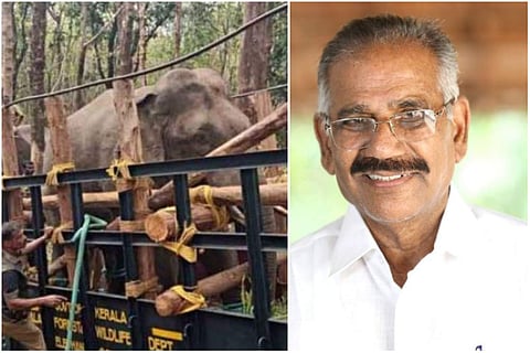 പി ടി സെവന്, മന്ത്രി ശശീന്ദ്രന്