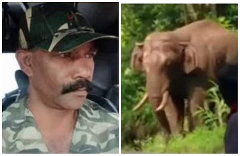 കൊല്ലപ്പെട്ട ശക്തിവേല്, ശാന്തന്പാറയില് ഇറങ്ങിയ കാട്ടാന/വീഡിയോ സ്ക്രീന്ഷോട്ട്