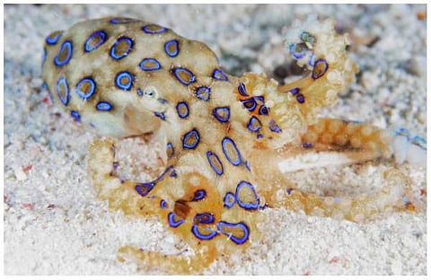 പ്രതീകാത്മക ചിത്രം/ ട്വിറ്റർ