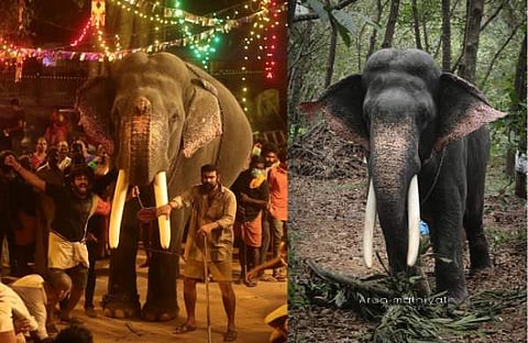 നടയ്ക്കൽ ഉണ്ണികൃഷ്ണൻ /ചിത്രം: ഫേയ്സ്ബുക്ക്