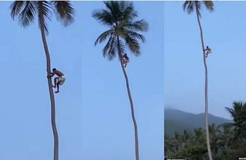 വിഡിയോ സ്ക്രീൻഷോട്ട്