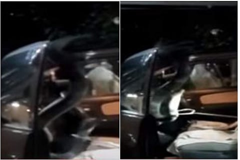 കാറിനുള്ളില് നിന്നും രാജവെമ്പാലയെ പിടികൂടുന്നു/ ടിവി ദൃശ്യം