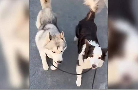 ഫോട്ടോ: എക്സ്