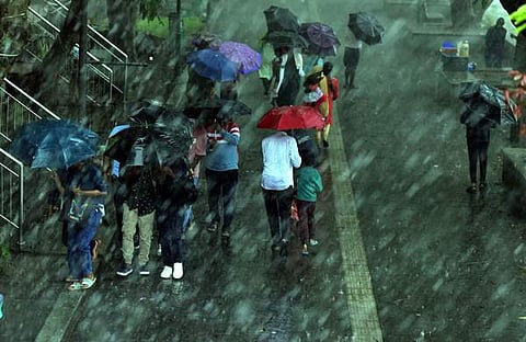 ചിത്രം: സനേഷ് എ