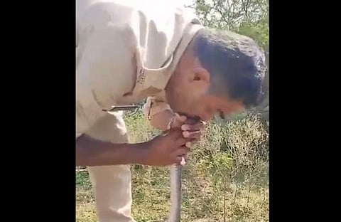 പാമ്പിന് സിപിആർ നൽകുന്ന ദൃശ്യം