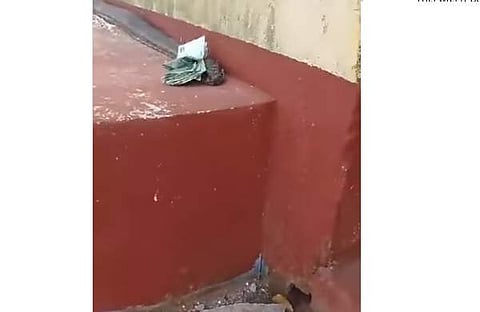 നോട്ടുകെട്ടുകൾ കടിച്ചുപിടിച്ച് കൂറ്റൻ പെരുമ്പാമ്പ് നീങ്ങുന്ന ദൃശ്യം