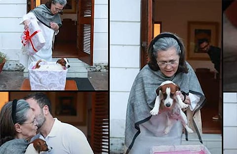 വീഡിയോ ദൃശ്യത്തിൽ നിന്ന്