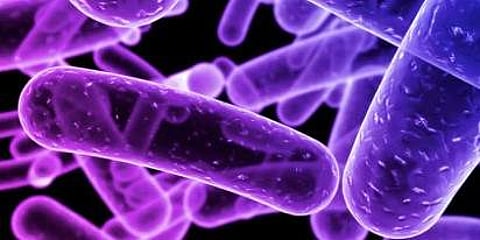 പ്രതീകാത്മക ചിത്രം