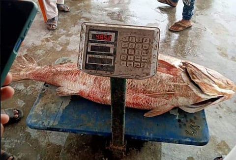 പ്രതീകാത്മക ചിത്രം