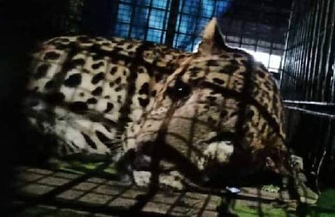 ടെലിവിഷൻ ദൃശ്യം