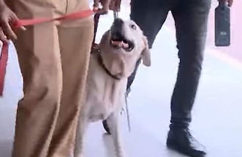 പൊലീസ് നായ കല്യാണി, കേരള പൊലീസ് ഫെയ്സ്ബുക്കിൽ പങ്കുവെച്ചതിൽ നിന്ന്