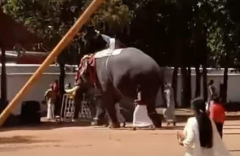 വൈക്കത്ത് ആന റോഡിലേക്ക് ഇറങ്ങിയോടിയപ്പോൾ, സ്ക്രീൻഷോട്ട്