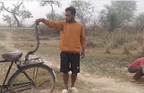 മൂർഖൻ പാമ്പുമായി യുവാവിന്റെ അതിസാഹസികത