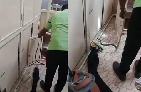 വിഡിയോ സ്ക്രീൻഷോട്ട്