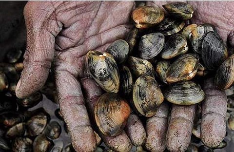 പ്രതീകാത്മക ചിത്രം/എക്സ്പ്രസ് ചിത്രം