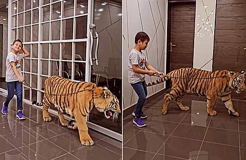 കടുവയ്ക്കൊപ്പം കുട്ടി/ ഇൻസ്റ്റഗ്രാം സ്ക്രീൻഷോട്ട്