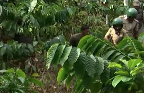 ടെലിവിഷൻ ദൃശ്യം