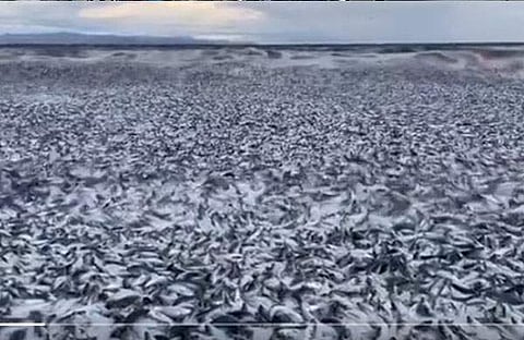 സ്ക്രീന്ഗ്രാബ്