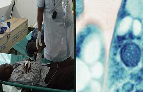 ചിത്രം /എക്സ്