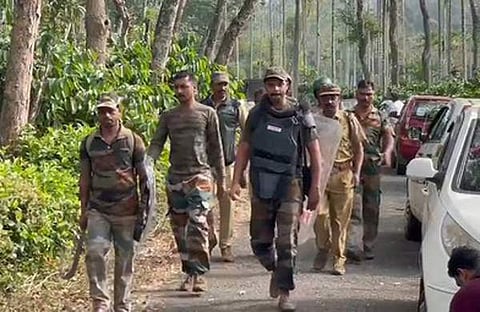 കടുവയ്ക്കായി തെരച്ചിൽ നടത്തുന്നു/ എക്സ്പ്രസ് ചിത്രം