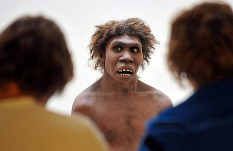 നിയാണ്ടർത്തൽ മോഡൽ/ എഎഫ്പി