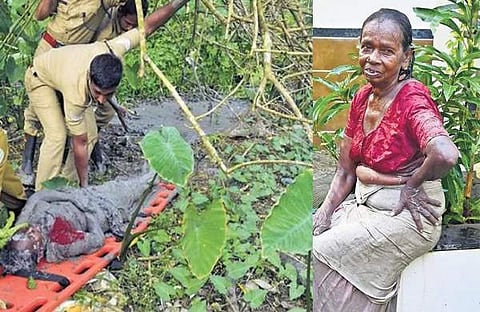 ചെളിയില് വീണ കമലാക്ഷിയെ ഫയര്ഫോഴ്സ് രക്ഷപെടുത്തുന്നു, കമലാക്ഷി / എ സനേഷ്