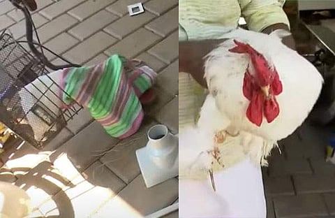 വീട് തകർത്ത നിലയിൽ/ ടിവി ദൃശ്യം