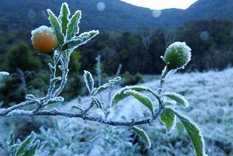 മൂന്നാർ/ ഫയല് ചിത്രം
