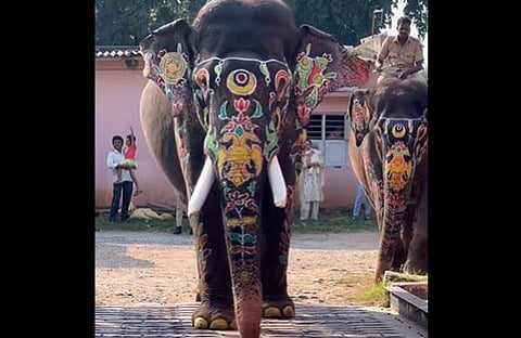 അര്ജുന/ സ്ക്രീൻഷോട്ട്