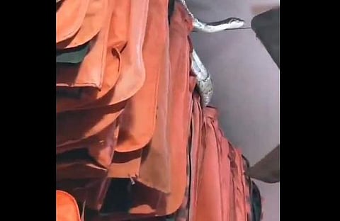 കടയിൽ തുണികൾക്ക് മുകളിൽ പെരുമ്പാമ്പ്