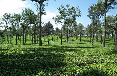 പ്രതീകാത്മക ചിത്രം