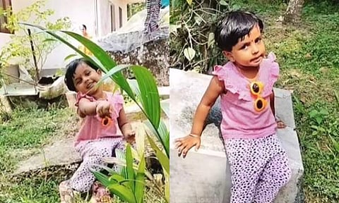 ഐറിൻ ലോറ/ ചിത്രം ഇൻസ്റ്റാഗ്രാം