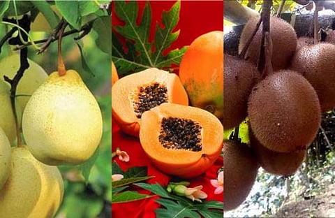 പ്രതീകാത്മക ചിത്രം