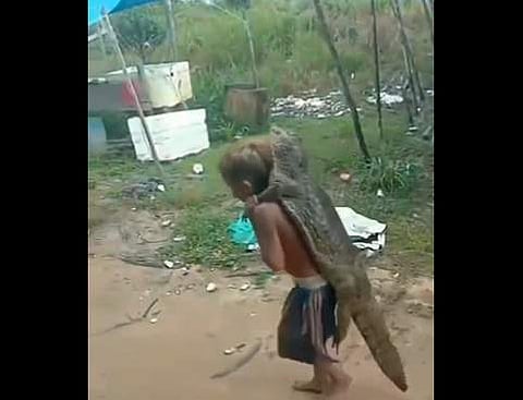 മുതലയെ പുറത്തിട്ട് നടക്കുന്ന കുട്ടിയുടെ ദൃശ്യം