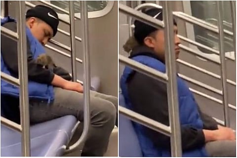 വീഡിയോ ദൃശ്യത്തില് നിന്ന്