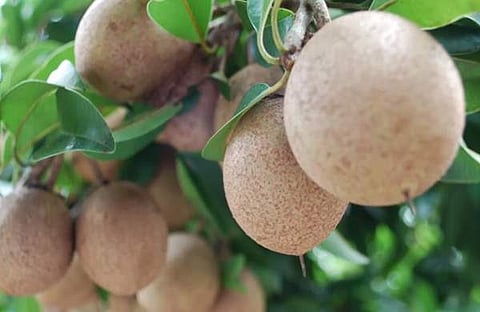 പ്രതീകാത്മക ചിത്രം