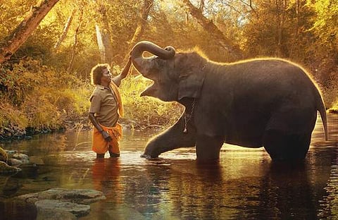 ഫോട്ടോ: ട്വിറ്റർ