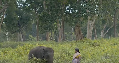 ദി എലിഫന്റ് വിസ്പെറേഴ്സിലെ ഭാഗം, സ്ക്രീൻഷോട്ട്