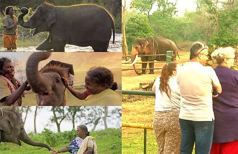 ചിത്രം: ട്വിറ്റർ