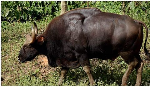 പ്രതീകാത്മക ചിത്രം