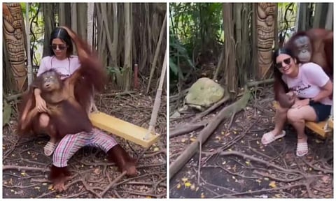 വീഡിയോ ദൃശ്യം