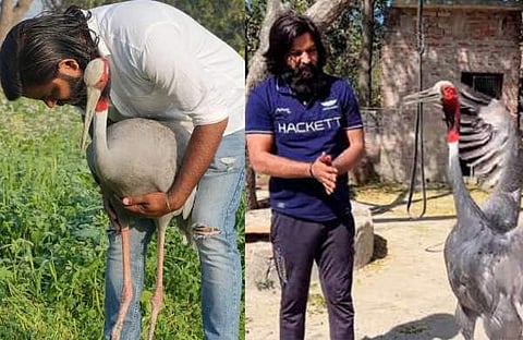 ചിത്രം: ട്വിറ്റര്