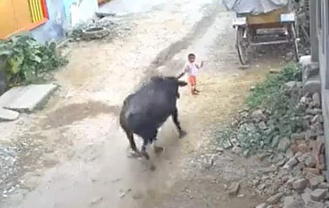 വീഡിയോ ദൃശ്യം